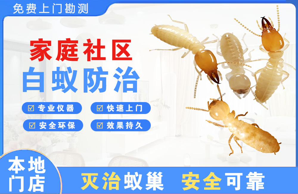 建德家庭社区白蚁防治