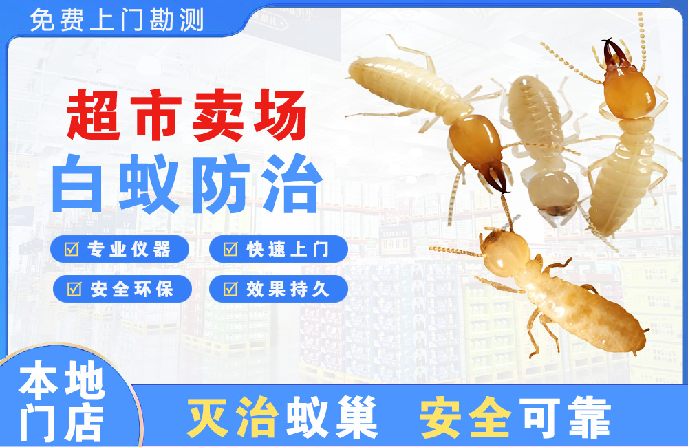 建德超市卖场白蚁防治