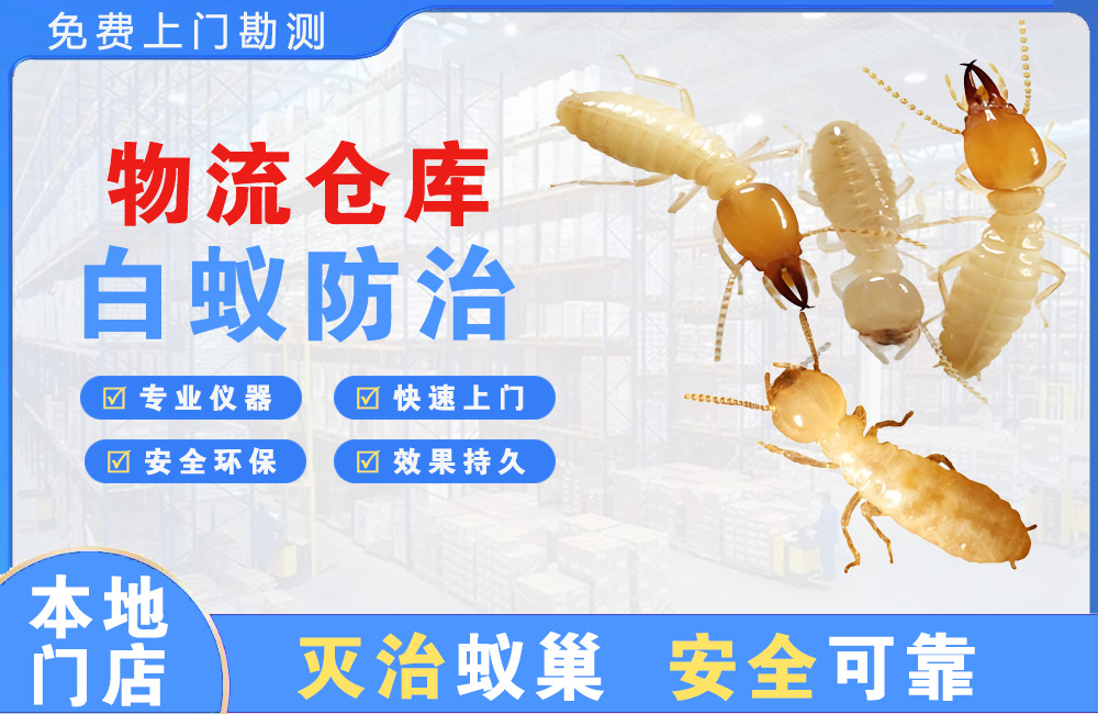 建德物流仓库白蚁防治