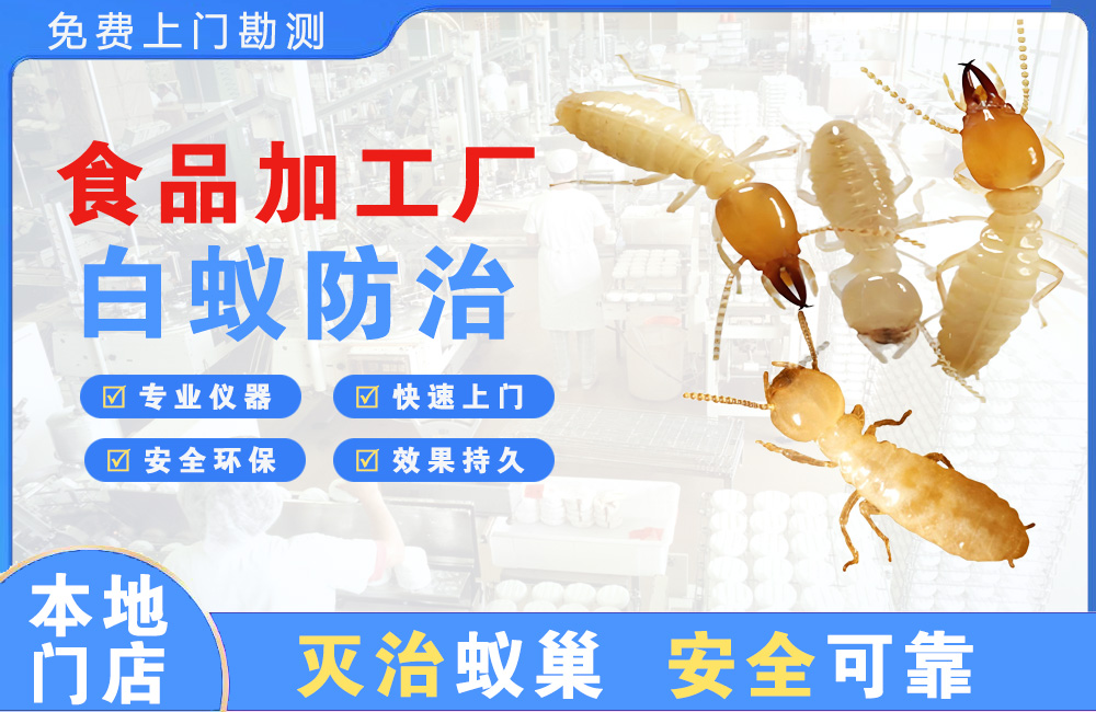 建德食品加工厂白蚁防治