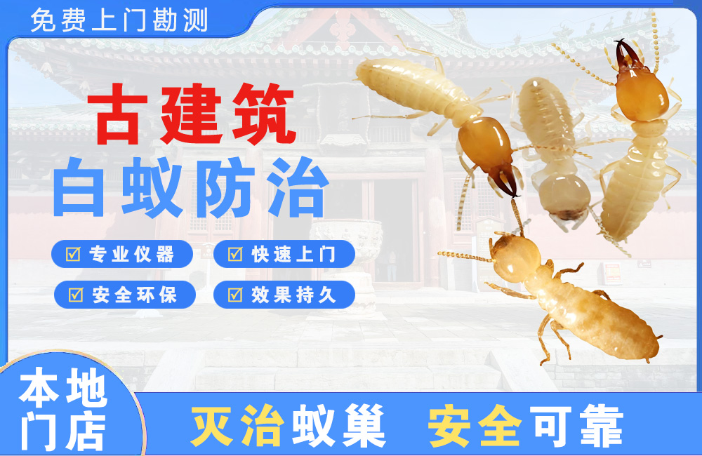 建德古建筑白蚁防治
