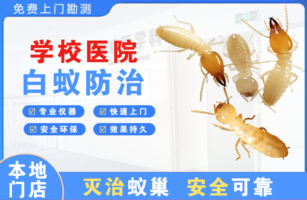 建德学校医院白蚁防治