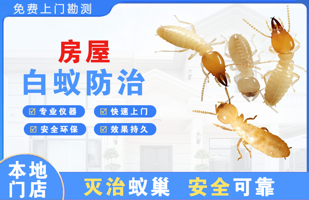 建德房屋白蚁防治