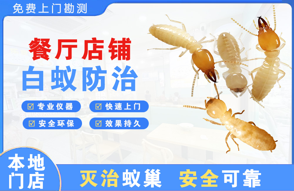 建德餐厅店铺白蚁防治